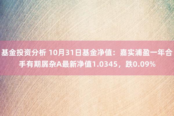 基金投资分析 10月31日基金净值：嘉实浦盈一年合手有期羼杂A最新净值1.0345，跌0.09%