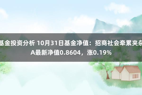 基金投资分析 10月31日基金净值：招商社会牵累夹杂A最新净值0.8604，涨0.19%