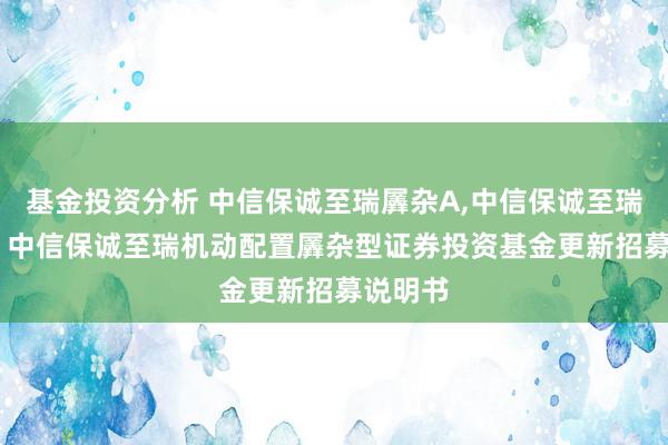 基金投资分析 中信保诚至瑞羼杂A,中信保诚至瑞羼杂C: 中信保诚至瑞机动配置羼杂型证券投资基金更新招募说明书