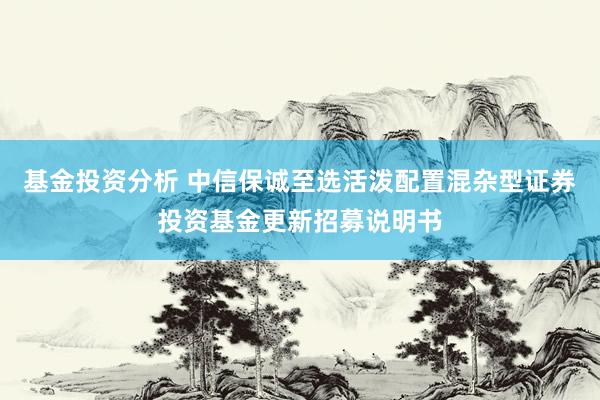 基金投资分析 中信保诚至选活泼配置混杂型证券投资基金更新招募说明书