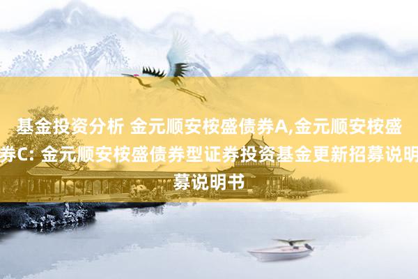 基金投资分析 金元顺安桉盛债券A,金元顺安桉盛债券C: 金元顺安桉盛债券型证券投资基金更新招募说明书