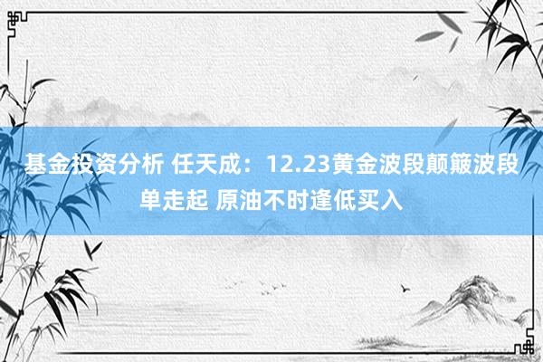 基金投资分析 任天成：12.23黄金波段颠簸波段单走起 原油不时逢低买入