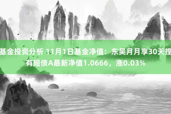 基金投资分析 11月1日基金净值：东吴月月享30天捏有短债A最新净值1.0666，涨0.03%