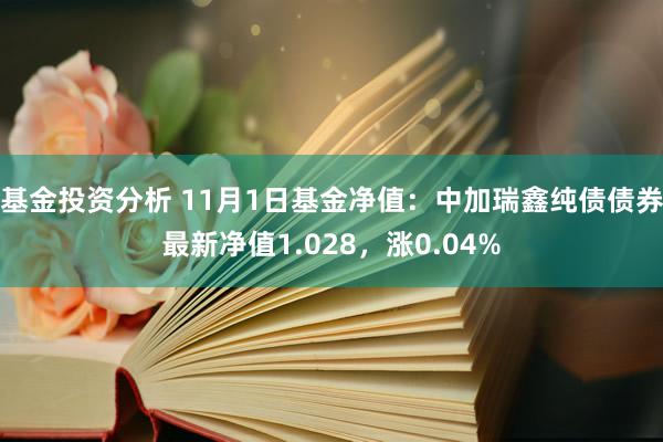 基金投资分析 11月1日基金净值：中加瑞鑫纯债债券最新净值1.028，涨0.04%