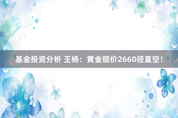 基金投资分析 王杨：黄金现价2660径直空！