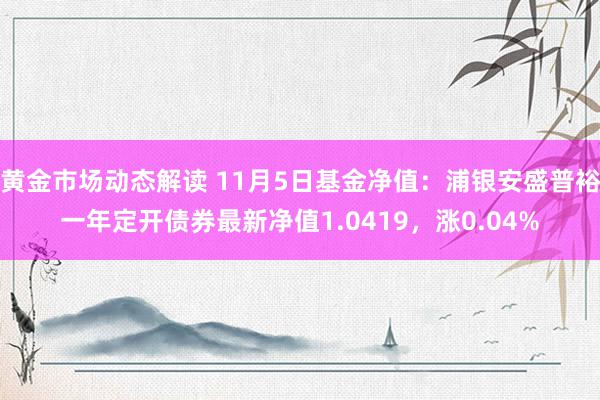 黄金市场动态解读 11月5日基金净值：浦银安盛普裕一年定开债券最新净值1.0419，涨0.04%