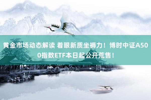 黄金市场动态解读 着眼新质坐褥力！博时中证A500指数ETF本日起公开荒售！