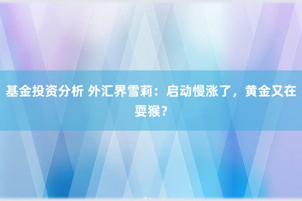 基金投资分析 外汇界雪莉：启动慢涨了，黄金又在耍猴？