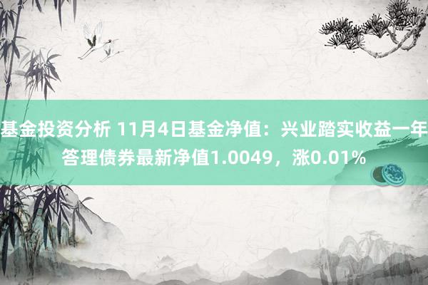 基金投资分析 11月4日基金净值：兴业踏实收益一年答理债券最新净值1.0049，涨0.01%