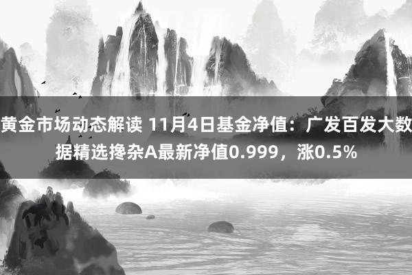 黄金市场动态解读 11月4日基金净值：广发百发大数据精选搀杂A最新净值0.999，涨0.5%