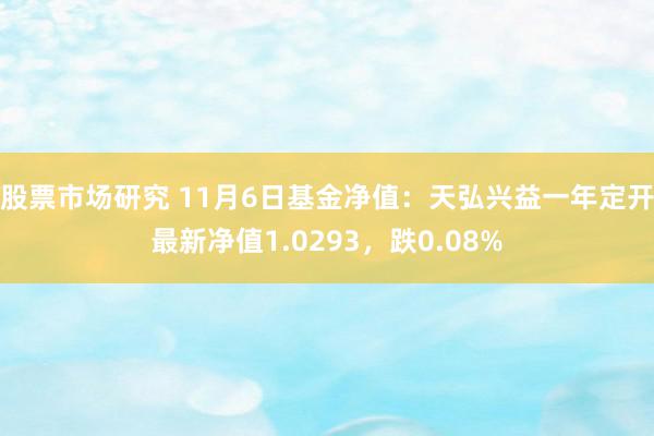 股票市场研究 11月6日基金净值：天弘兴益一年定开最新净值1.0293，跌0.08%