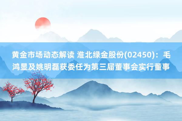 黄金市场动态解读 淮北绿金股份(02450)：毛鸿显及姚明磊获委任为第三届董事会实行董事