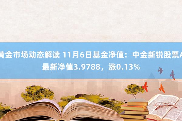 黄金市场动态解读 11月6日基金净值：中金新锐股票A最新净值3.9788，涨0.13%