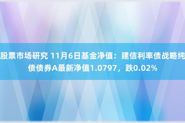 股票市场研究 11月6日基金净值：建信利率债战略纯债债券A最新净值1.0797，跌0.02%