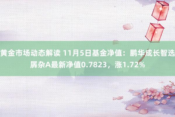 黄金市场动态解读 11月5日基金净值：鹏华成长智选羼杂A最新净值0.7823，涨1.72%