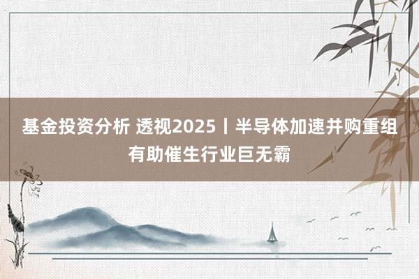 基金投资分析 透视2025丨半导体加速并购重组有助催生行业巨无霸