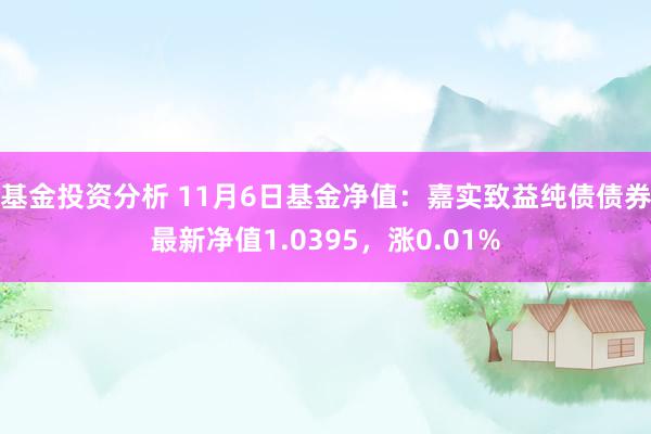 基金投资分析 11月6日基金净值：嘉实致益纯债债券最新净值1.0395，涨0.01%