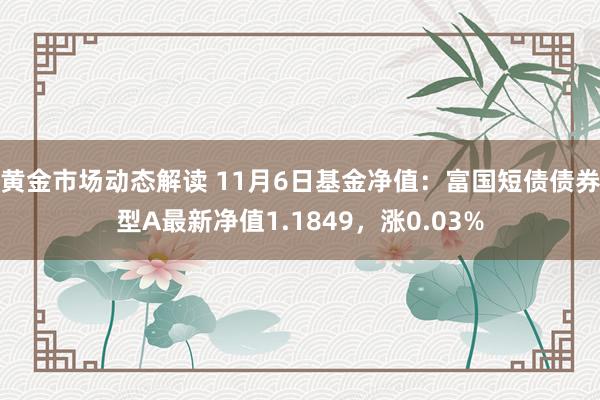 黄金市场动态解读 11月6日基金净值：富国短债债券型A最新净值1.1849，涨0.03%