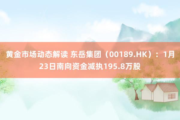 黄金市场动态解读 东岳集团（00189.HK）：1月23日南向资金减执195.8万股