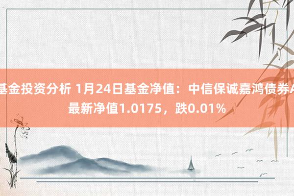 基金投资分析 1月24日基金净值：中信保诚嘉鸿债券A最新净值1.0175，跌0.01%