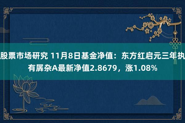 股票市场研究 11月8日基金净值：东方红启元三年执有羼杂A最新净值2.8679，涨1.08%