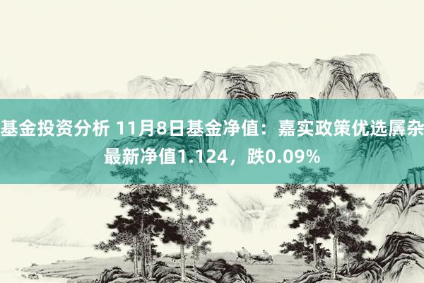 基金投资分析 11月8日基金净值：嘉实政策优选羼杂最新净值1.124，跌0.09%