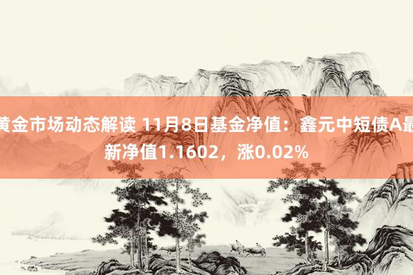 黄金市场动态解读 11月8日基金净值：鑫元中短债A最新净值1.1602，涨0.02%