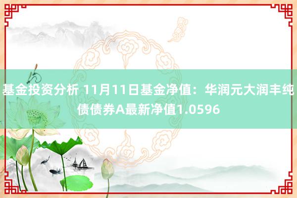 基金投资分析 11月11日基金净值：华润元大润丰纯债债券A最新净值1.0596