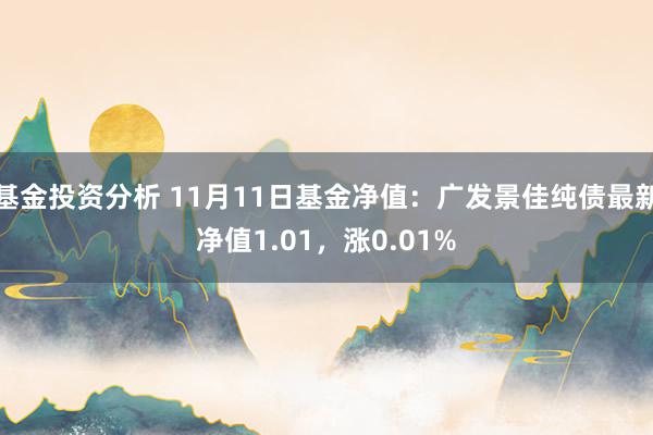 基金投资分析 11月11日基金净值：广发景佳纯债最新净值1.01，涨0.01%