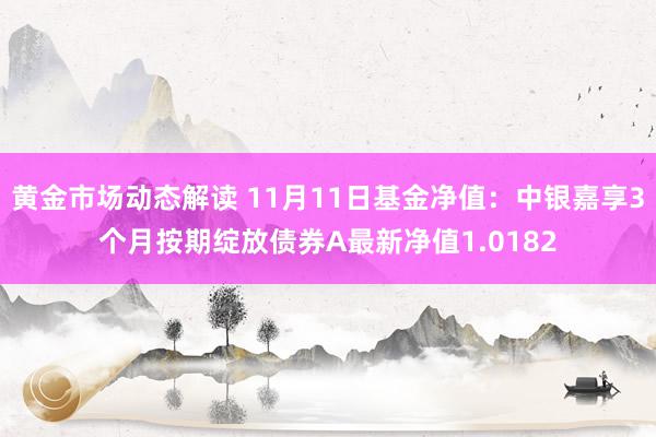 黄金市场动态解读 11月11日基金净值：中银嘉享3个月按期绽放债券A最新净值1.0182