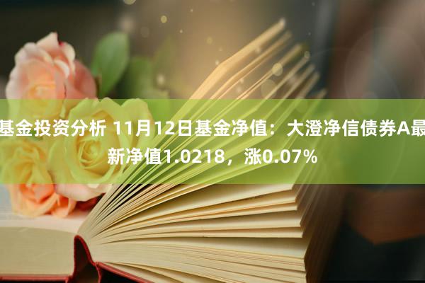 基金投资分析 11月12日基金净值：大澄净信债券A最新净值1.0218，涨0.07%