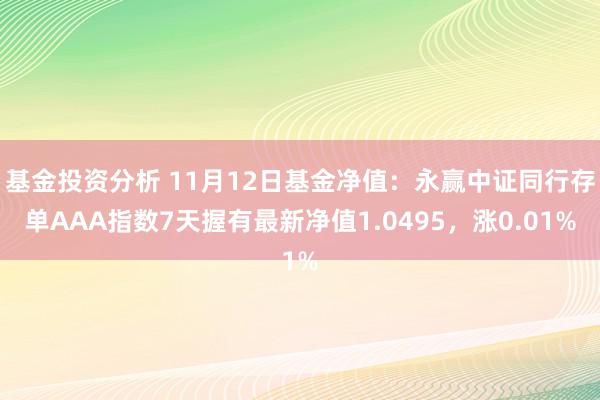 基金投资分析 11月12日基金净值：永赢中证同行存单AAA指数7天握有最新净值1.0495，涨0.01%