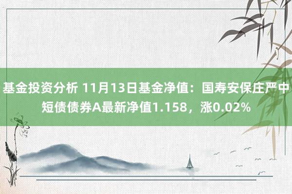 基金投资分析 11月13日基金净值：国寿安保庄严中短债债券A最新净值1.158，涨0.02%