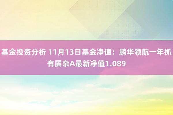 基金投资分析 11月13日基金净值：鹏华领航一年抓有羼杂A最新净值1.089