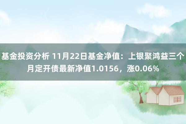 基金投资分析 11月22日基金净值：上银聚鸿益三个月定开债最新净值1.0156，涨0.06%