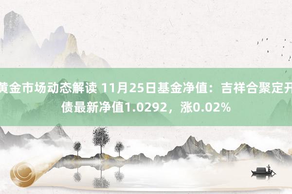 黄金市场动态解读 11月25日基金净值：吉祥合聚定开债最新净值1.0292，涨0.02%