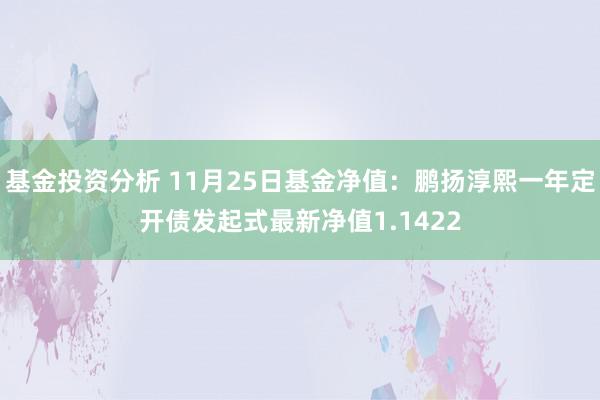 基金投资分析 11月25日基金净值：鹏扬淳熙一年定开债发起式最新净值1.1422