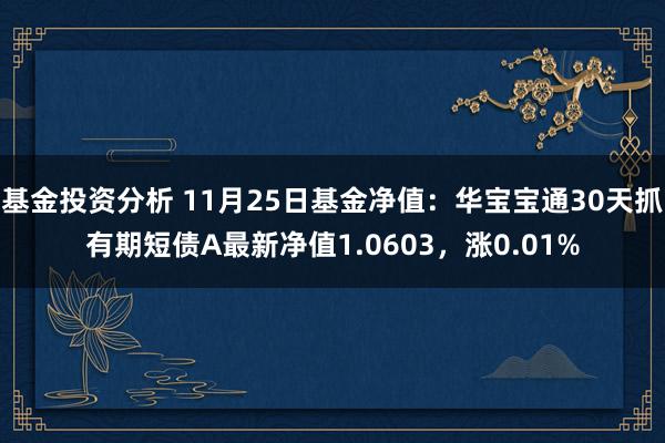 基金投资分析 11月25日基金净值：华宝宝通30天抓有期短债A最新净值1.0603，涨0.01%