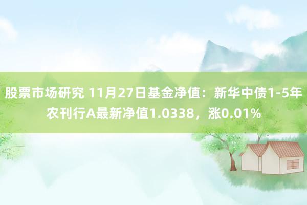 股票市场研究 11月27日基金净值：新华中债1-5年农刊行A最新净值1.0338，涨0.01%